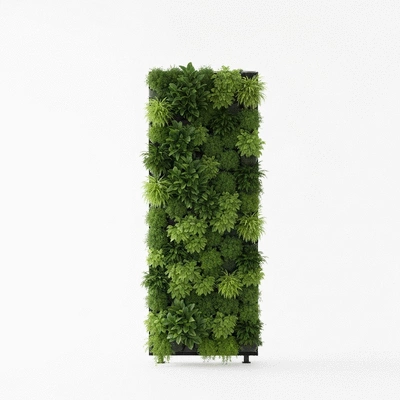 Beautifully designed vertical garden showcasing various plants