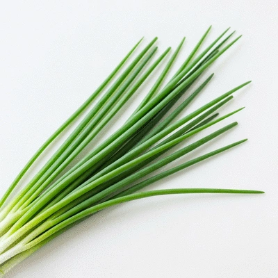 Freshly harvested chives ready for kitchen use