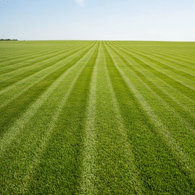 A vibrant, healthy lawn with freshly mown stripes under a clear sky, symbolizing successful long-term lawn maintenance, no text, no words, no typography, 8K