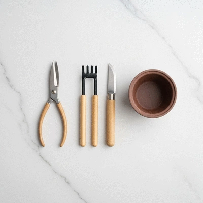 Essential beginner bonsai tools