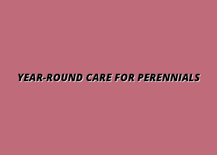 Year-Round Care for Perennials