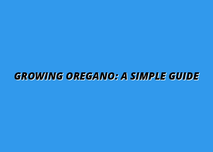 Growing Oregano: A Simple Guide