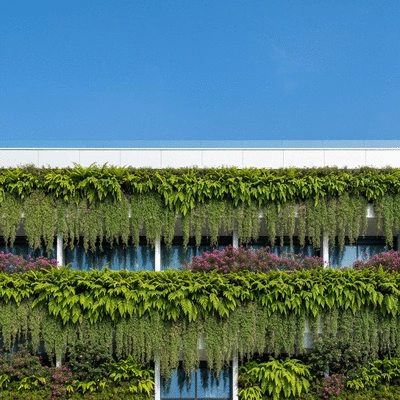 Modern building facade with an extensive vertical garden integrated into its design