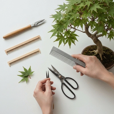 Bonsai tree care and maintenance