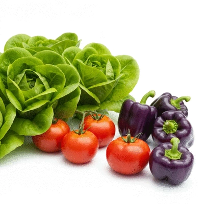 Image of fresh produce from an aquaponics garden