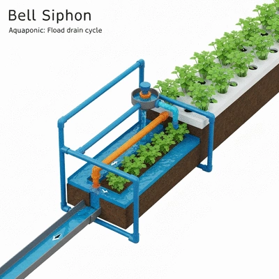 Detailed diagram of a bell siphon in an aquaponics system