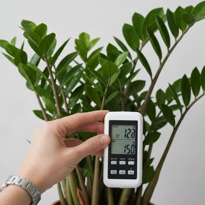 Close-up of a hand adjusting a digital hygrometer next to a healthy houseplant, bright natural light, no text