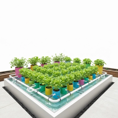 Aquaponics installation in a backyard